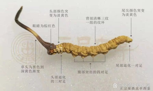 孕妇下面痒怎么用药网 - 网站提供孕妇下面痒怎么办小常识、孕妇下面痒会影响胎儿吗